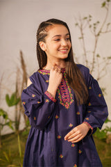 Ziva Fully Embroidered Lawn 2Pc-Ga2003