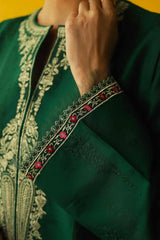 Zara Shahjahan 3PC Embroidered Dhanak with Whool Shawl - GA1764