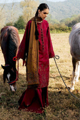 Zara Shajahan 3PC Embroidered Dhanak with Printed Shawl - GA1797