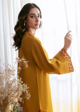 Cinq Apparel Karandi Embroidered 2PC - GA2077