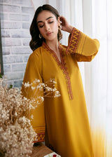 Cinq Apparel Karandi Embroidered 2PC - GA2077