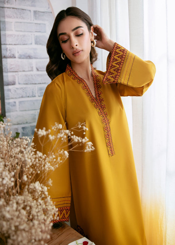 Cinq Apparel Karandi Embroidered 2PC - GA2077