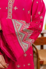 Ziva Fully Embroidered Lawn 2Pc-GA2229