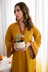 Cinq Apparel Karandi Embroidered 2PC - GA2077
