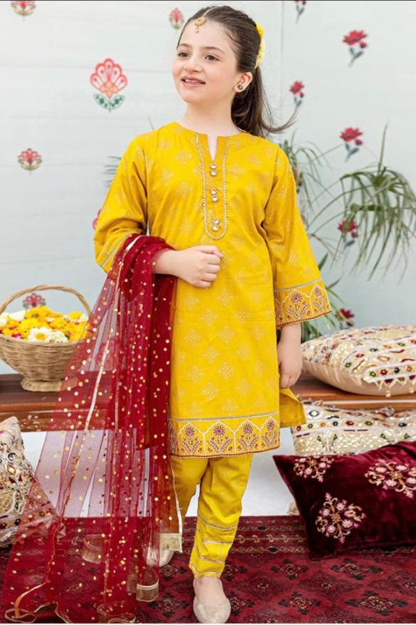 Ziva Fully Embroidered  Lawn 2Pc-Ga1651