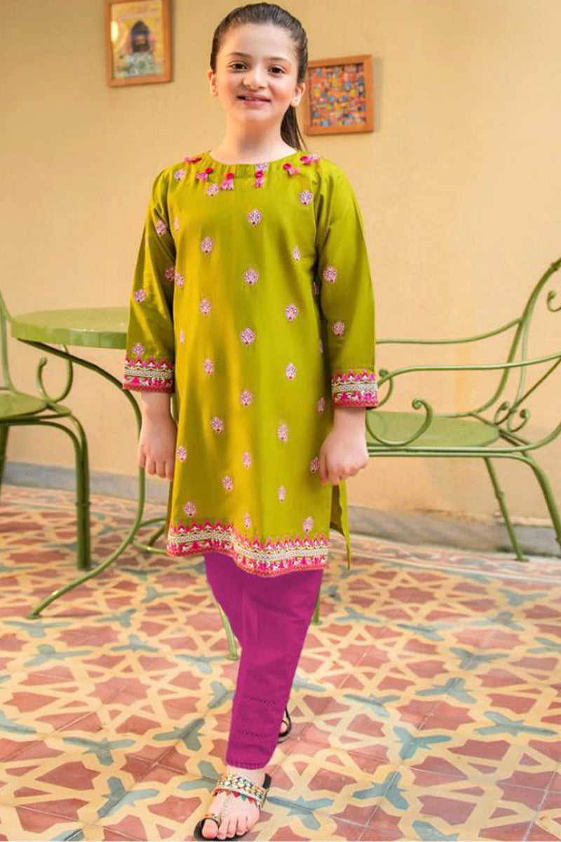 Ziva Fully Embroidered  Lawn 2Pc-Ga1657